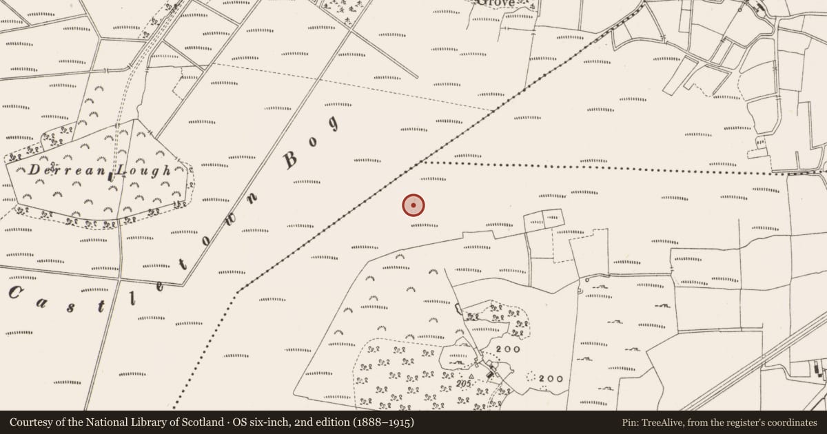 Ordnance Survey six-inch map, 2nd edition (1888–1915) covering the location of Structure - peatland, Leabeg, County Offaly, with a pin at the register's coordinates
