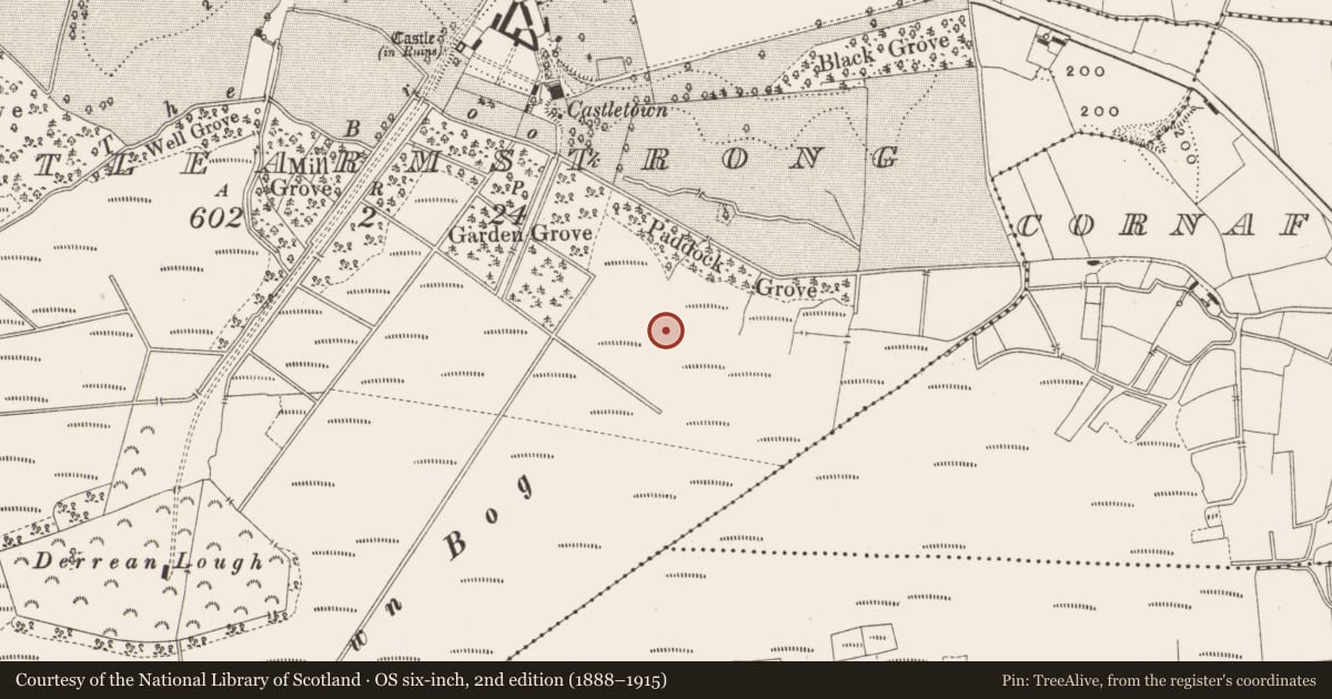 Ordnance Survey six-inch map, 2nd edition (1888–1915) covering the location of Structure - peatland, Castlearmstrong, County Offaly, with a pin at the register's coordinates