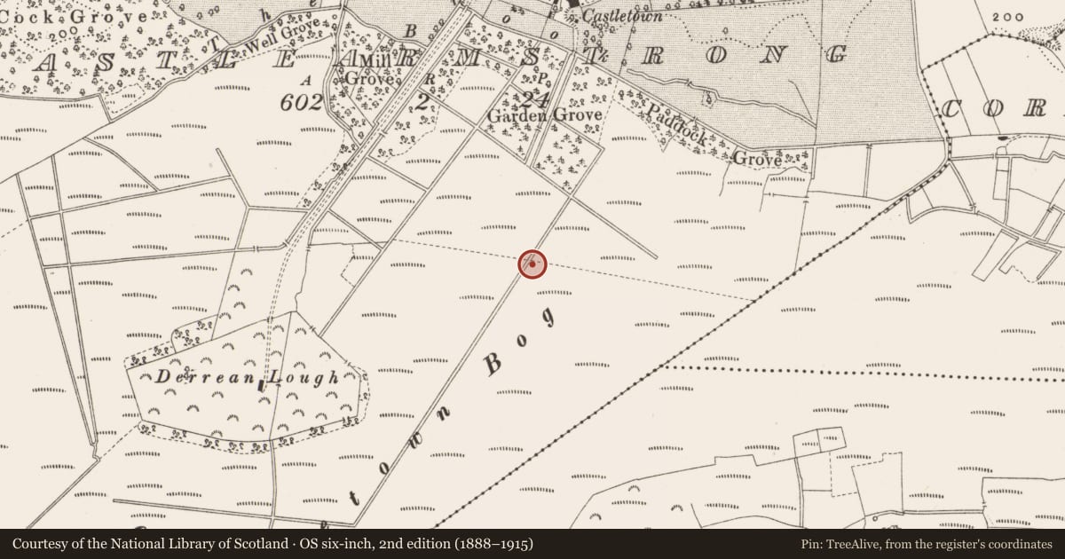 Ordnance Survey six-inch map, 2nd edition (1888–1915) covering the location of Structure - peatland, Castlearmstrong, County Offaly, with a pin at the register's coordinates