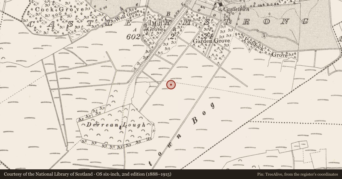 Ordnance Survey six-inch map, 2nd edition (1888–1915) covering the location of Structure - peatland, Castlearmstrong, County Offaly, with a pin at the register's coordinates