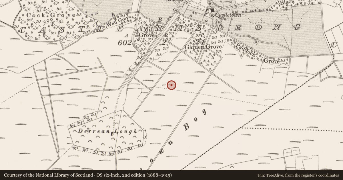 Ordnance Survey six-inch map, 2nd edition (1888–1915) covering the location of Structure - peatland, Castlearmstrong, County Offaly, with a pin at the register's coordinates
