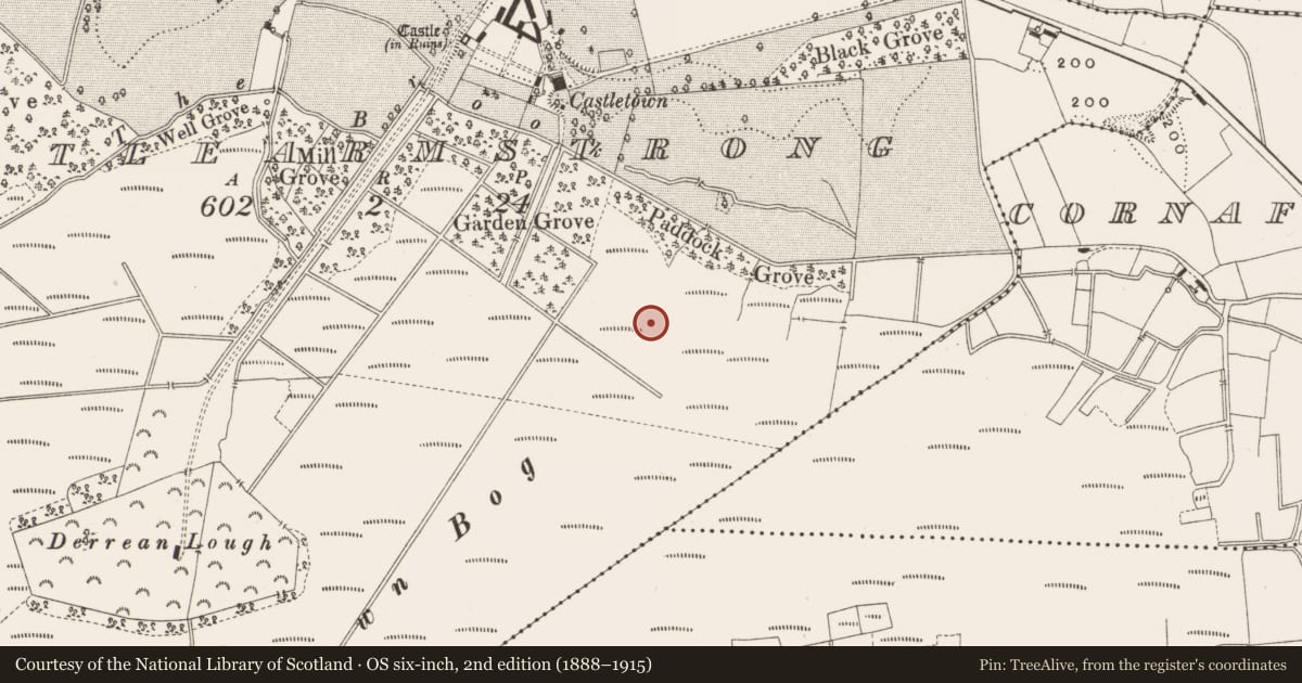 Ordnance Survey six-inch map, 2nd edition (1888–1915) covering the location of Structure - peatland, Castlearmstrong, County Offaly, with a pin at the register's coordinates