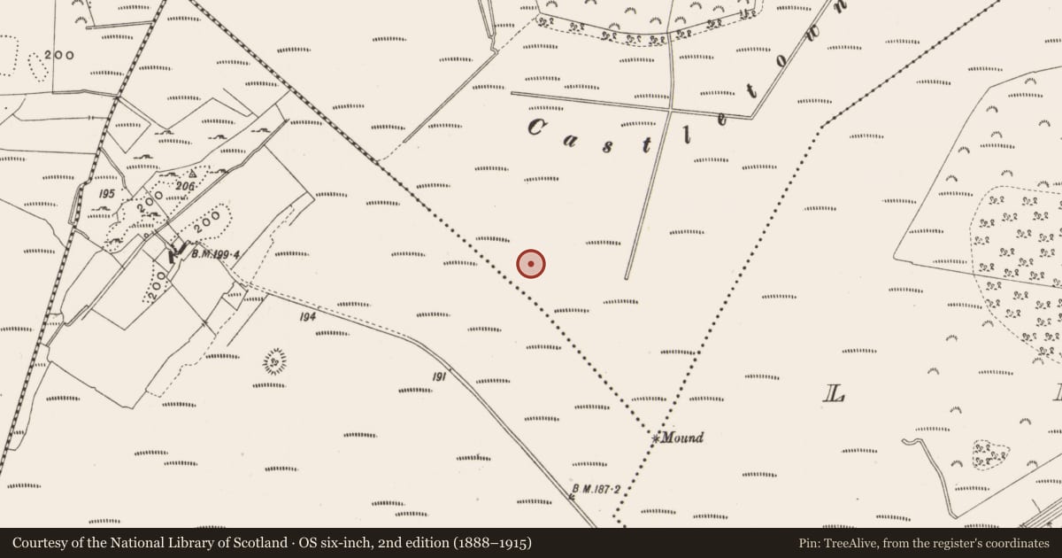 Ordnance Survey six-inch map, 2nd edition (1888–1915) covering the location of Structure - peatland, Castlearmstrong, County Offaly, with a pin at the register's coordinates