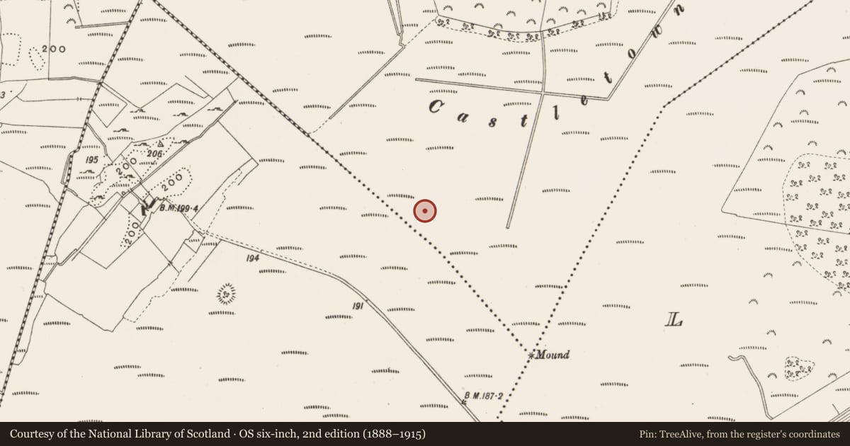 Ordnance Survey six-inch map, 2nd edition (1888–1915) covering the location of Structure - peatland, Castlearmstrong, County Offaly, with a pin at the register's coordinates