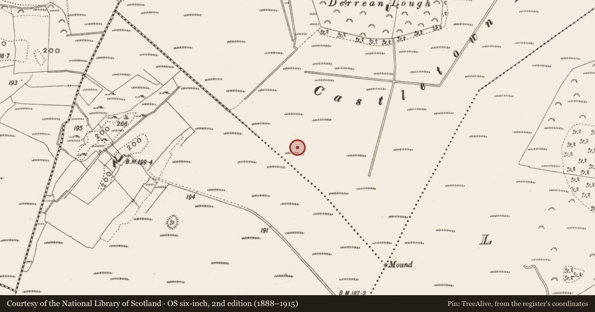 Ordnance Survey six-inch map, 2nd edition (1888–1915) covering the location of Structure - peatland, Castlearmstrong, County Offaly, with a pin at the register's coordinates