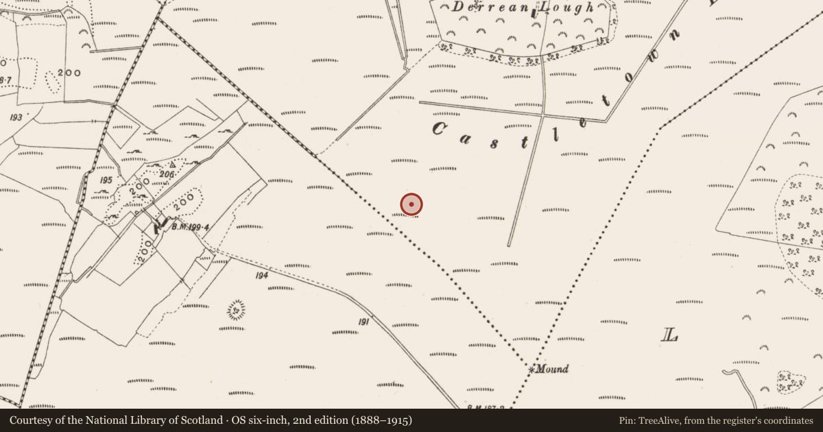 Ordnance Survey six-inch map, 2nd edition (1888–1915) covering the location of Structure - peatland, Castlearmstrong, County Offaly, with a pin at the register's coordinates