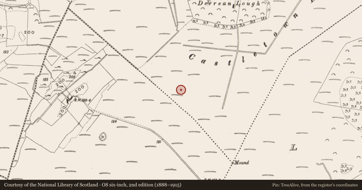 Ordnance Survey six-inch map, 2nd edition (1888–1915) covering the location of Structure - peatland, Castlearmstrong, County Offaly, with a pin at the register's coordinates