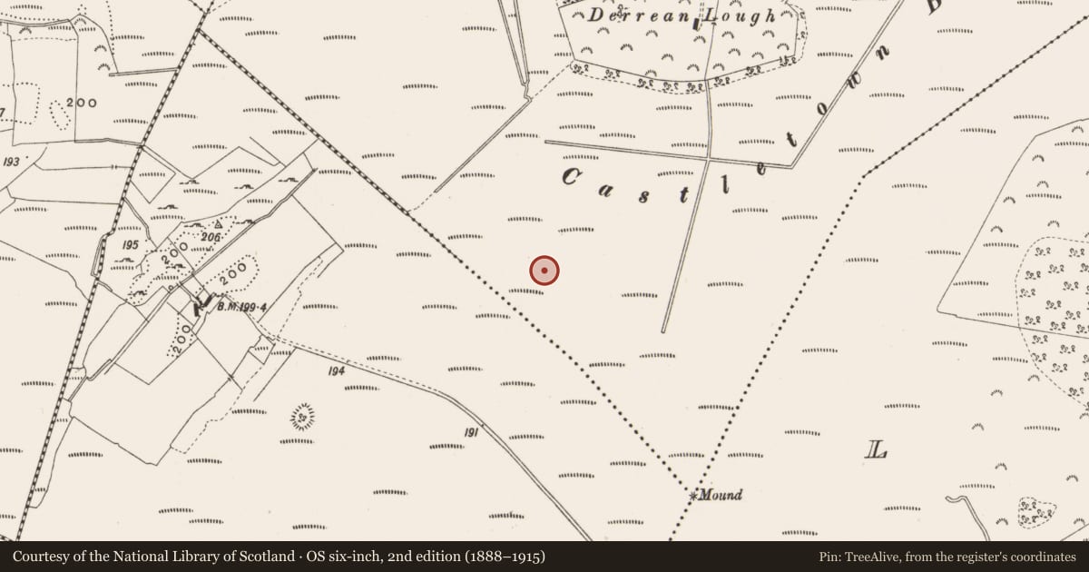 Ordnance Survey six-inch map, 2nd edition (1888–1915) covering the location of Structure - peatland, Castlearmstrong, County Offaly, with a pin at the register's coordinates