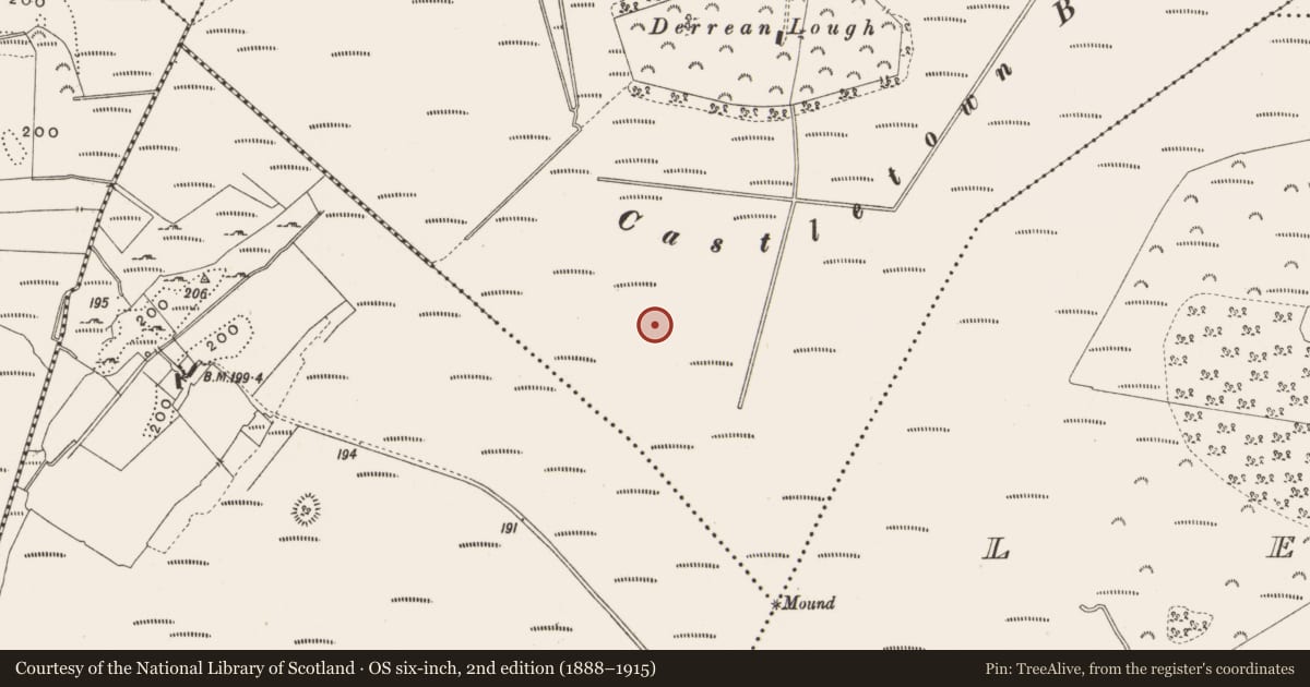 Ordnance Survey six-inch map, 2nd edition (1888–1915) covering the location of Structure - peatland, Castlearmstrong, County Offaly, with a pin at the register's coordinates