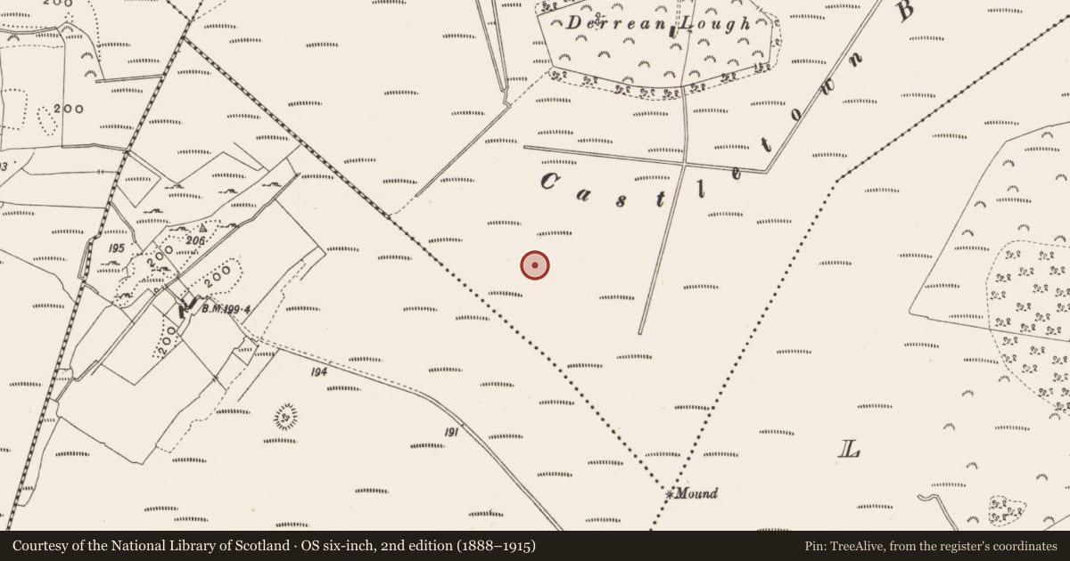 Ordnance Survey six-inch map, 2nd edition (1888–1915) covering the location of Structure - peatland, Castlearmstrong, County Offaly, with a pin at the register's coordinates