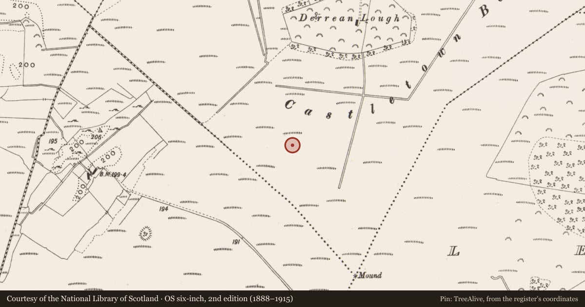 Ordnance Survey six-inch map, 2nd edition (1888–1915) covering the location of Road - class 3 togher, Castlearmstrong, County Offaly, with a pin at the register's coordinates