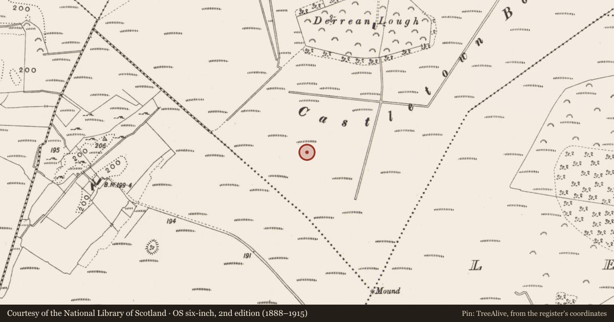 Ordnance Survey six-inch map, 2nd edition (1888–1915) covering the location of Road - class 3 togher, Castlearmstrong, County Offaly, with a pin at the register's coordinates
