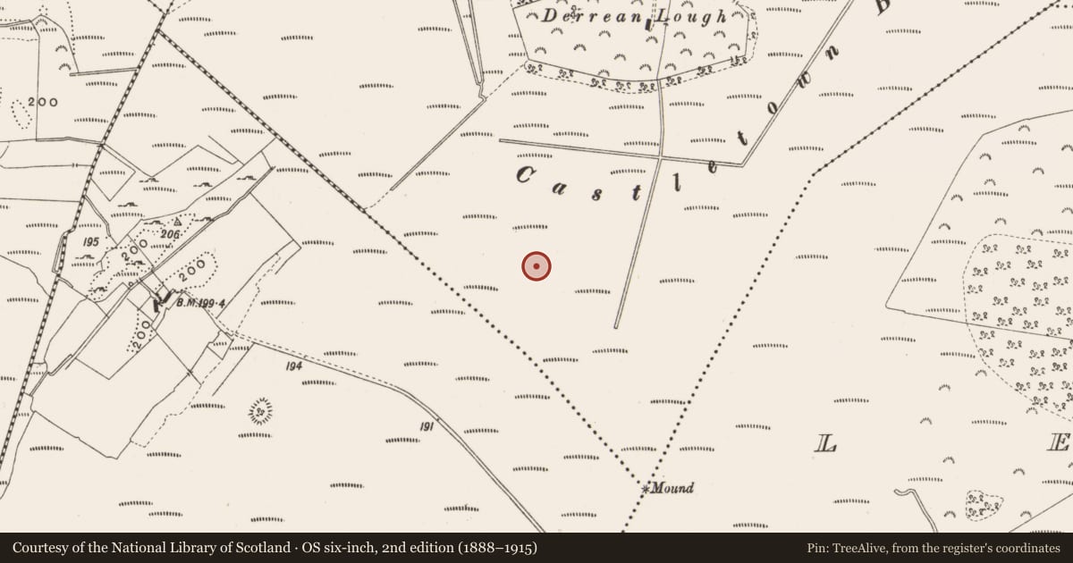 Ordnance Survey six-inch map, 2nd edition (1888–1915) covering the location of Structure - peatland, Castlearmstrong, County Offaly, with a pin at the register's coordinates