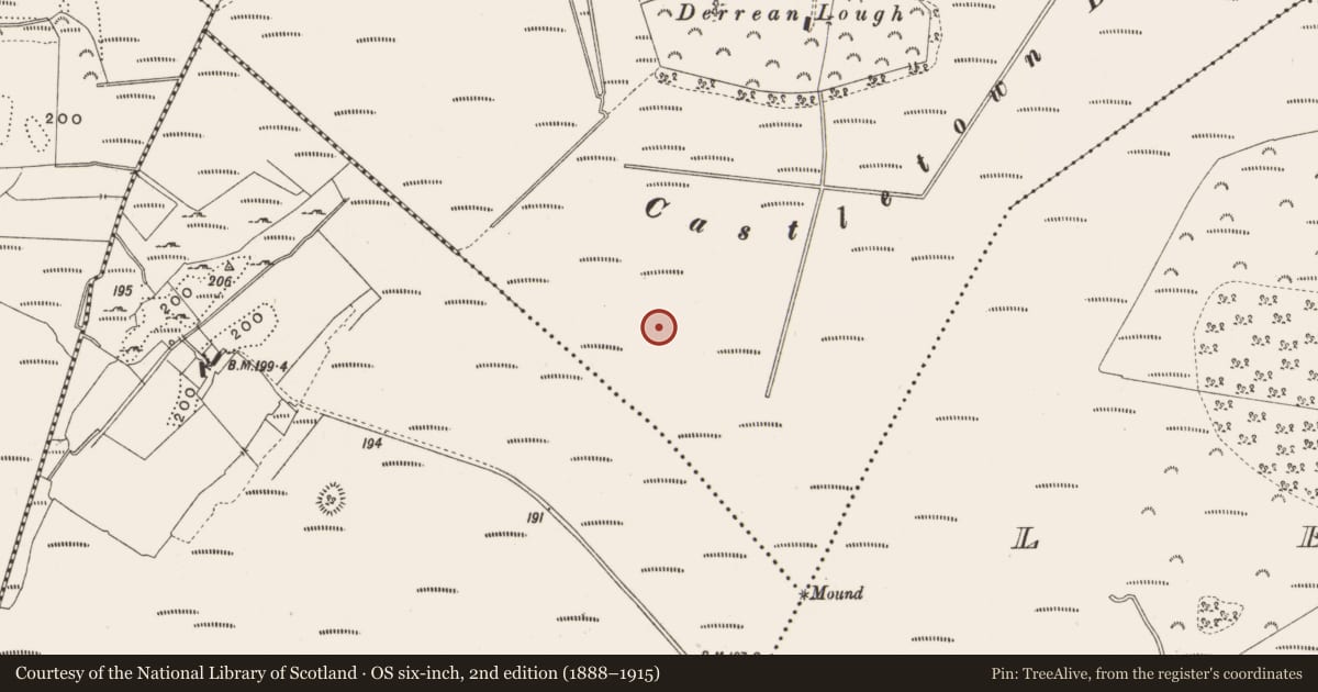 Ordnance Survey six-inch map, 2nd edition (1888–1915) covering the location of Road - class 3 togher, Castlearmstrong, County Offaly, with a pin at the register's coordinates