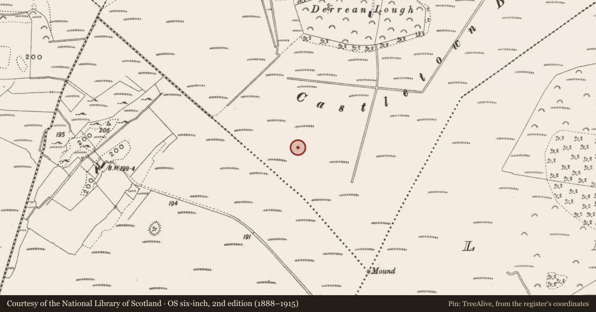 Ordnance Survey six-inch map, 2nd edition (1888–1915) covering the location of Road - class 3 togher, Castlearmstrong, County Offaly, with a pin at the register's coordinates