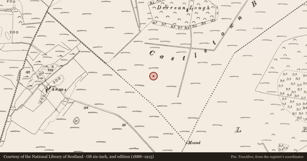 Ordnance Survey six-inch map, 2nd edition (1888–1915) covering the location of Road - class 3 togher, Castlearmstrong, County Offaly, with a pin at the register's coordinates