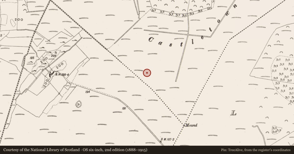 Ordnance Survey six-inch map, 2nd edition (1888–1915) covering the location of Structure - peatland, Castlearmstrong, County Offaly, with a pin at the register's coordinates