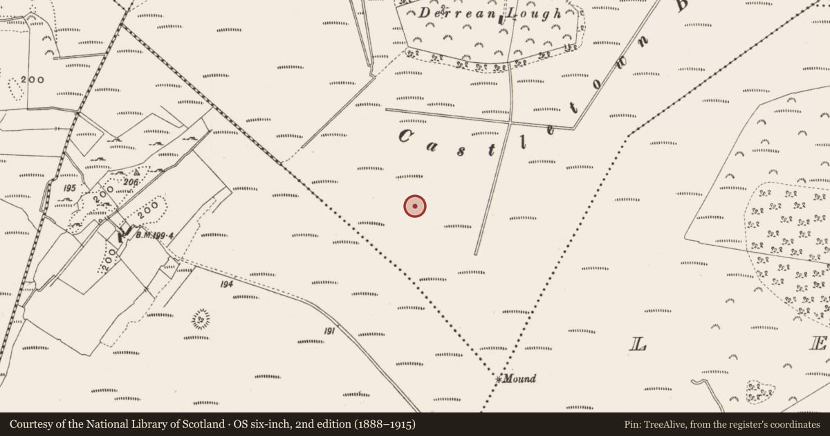 Ordnance Survey six-inch map, 2nd edition (1888–1915) covering the location of Road - class 3 togher, Castlearmstrong, County Offaly, with a pin at the register's coordinates
