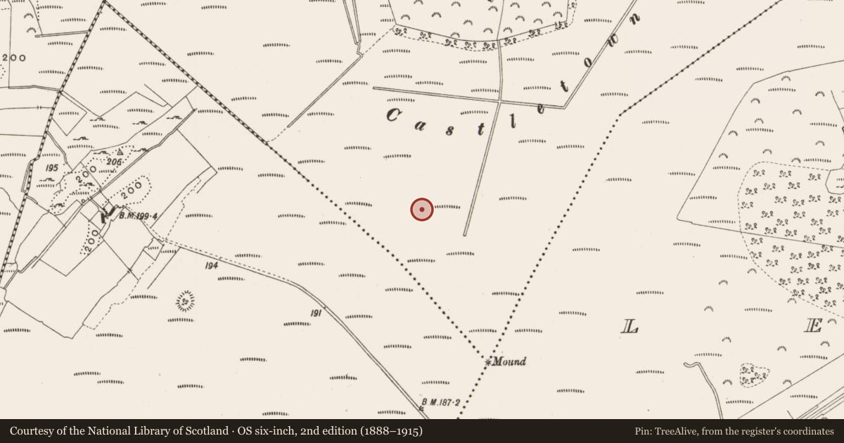 Ordnance Survey six-inch map, 2nd edition (1888–1915) covering the location of Structure - peatland, Castlearmstrong, County Offaly, with a pin at the register's coordinates