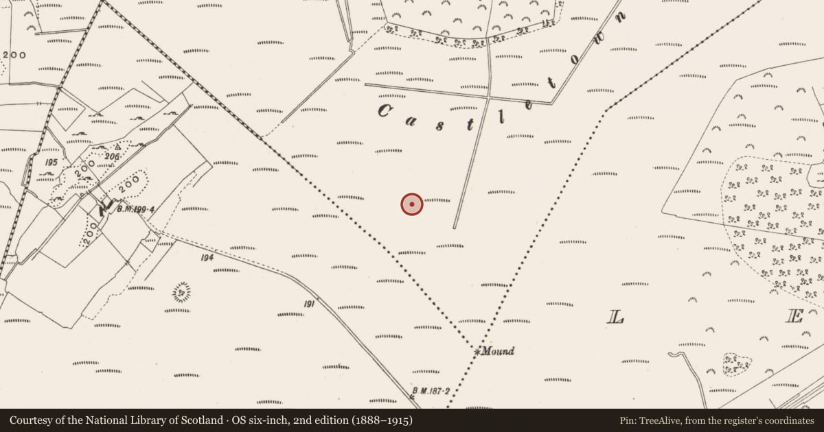 Ordnance Survey six-inch map, 2nd edition (1888–1915) covering the location of Structure - peatland, Castlearmstrong, County Offaly, with a pin at the register's coordinates