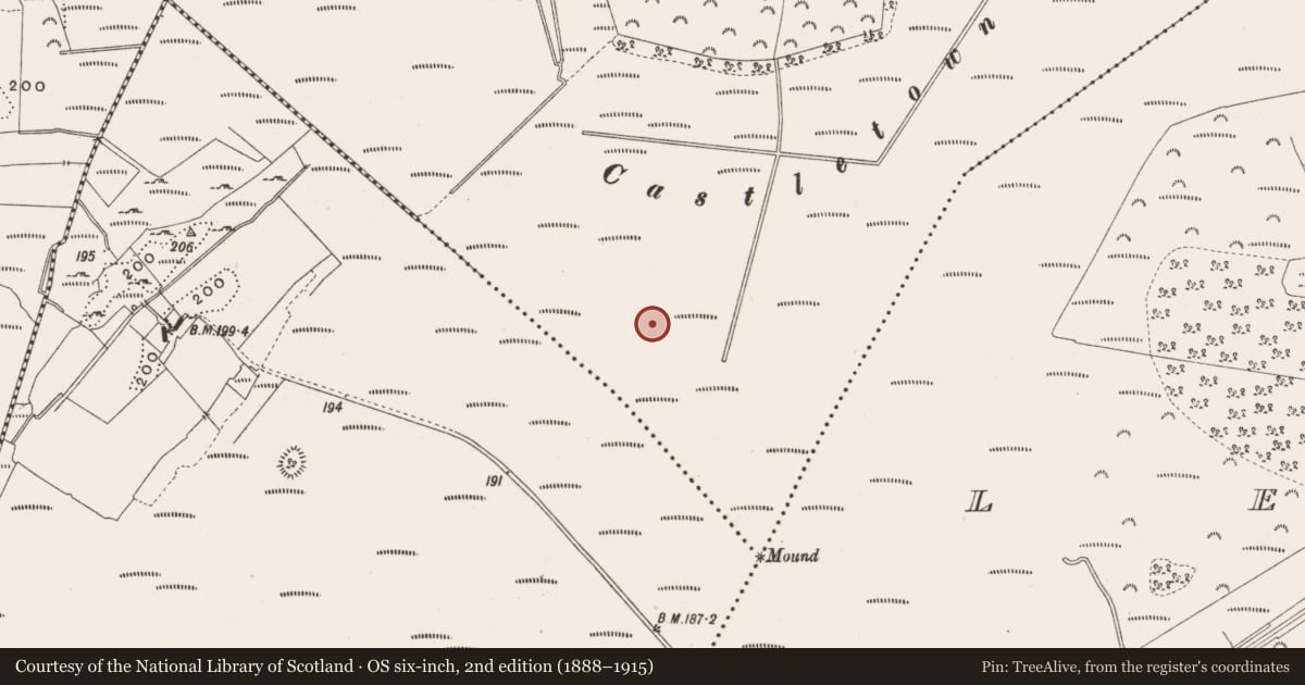 Ordnance Survey six-inch map, 2nd edition (1888–1915) covering the location of Road - class 3 togher, Castlearmstrong, County Offaly, with a pin at the register's coordinates