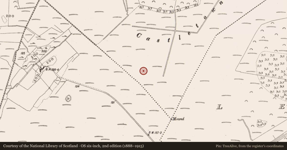 Ordnance Survey six-inch map, 2nd edition (1888–1915) covering the location of Structure - peatland, Castlearmstrong, County Offaly, with a pin at the register's coordinates