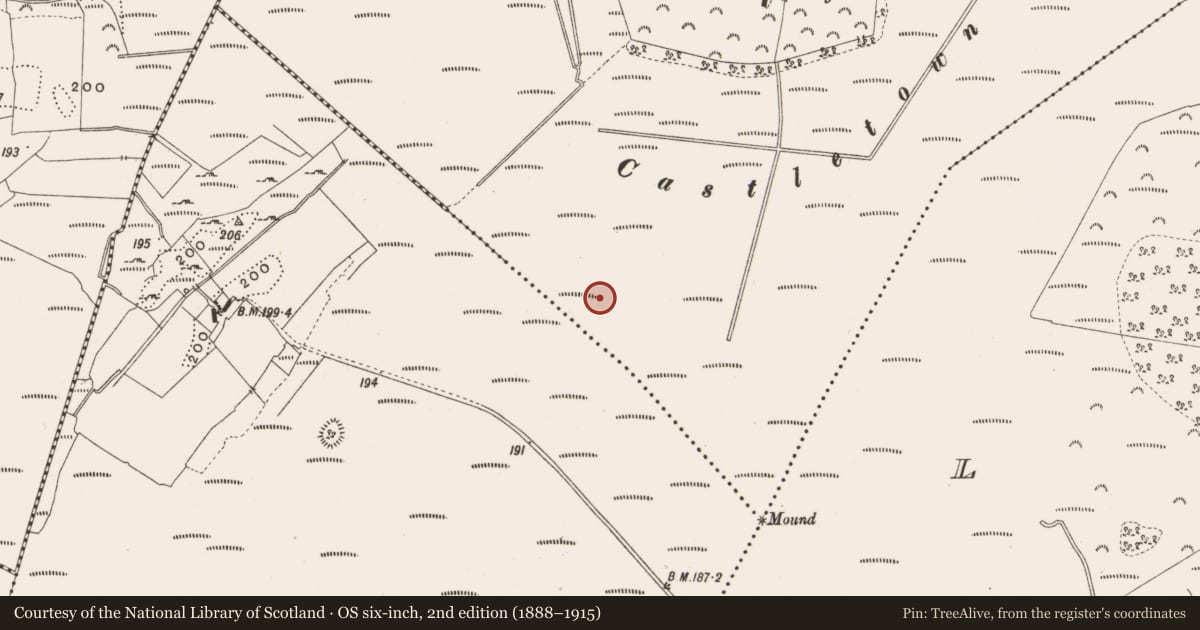 Ordnance Survey six-inch map, 2nd edition (1888–1915) covering the location of Structure - peatland, Castletown, County Offaly, with a pin at the register's coordinates