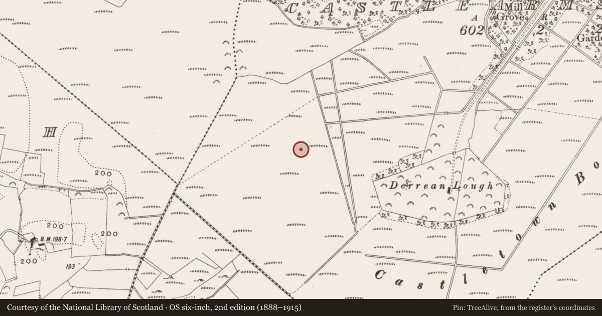 Ordnance Survey six-inch map, 2nd edition (1888–1915) covering the location of Road - class 1 togher, Castlearmstrong, County Offaly, with a pin at the register's coordinates