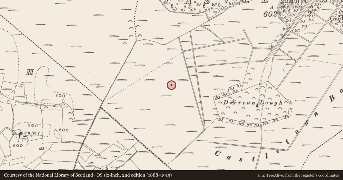 Ordnance Survey six-inch map, 2nd edition (1888–1915) covering the location of Road - class 3 togher, Castlearmstrong, County Offaly, with a pin at the register's coordinates