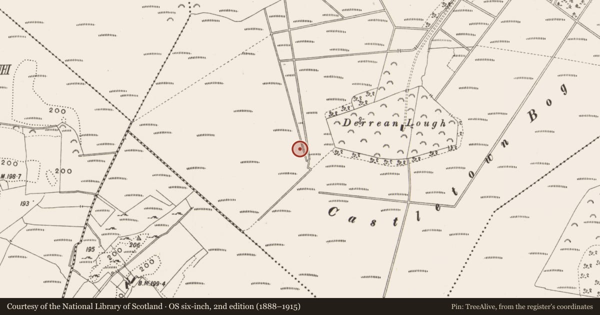 Ordnance Survey six-inch map, 2nd edition (1888–1915) covering the location of Structure - peatland, Castlearmstrong, County Offaly, with a pin at the register's coordinates