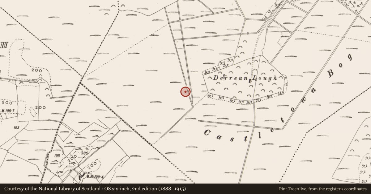 Ordnance Survey six-inch map, 2nd edition (1888–1915) covering the location of Road - class 3 togher, Castlearmstrong, County Offaly, with a pin at the register's coordinates