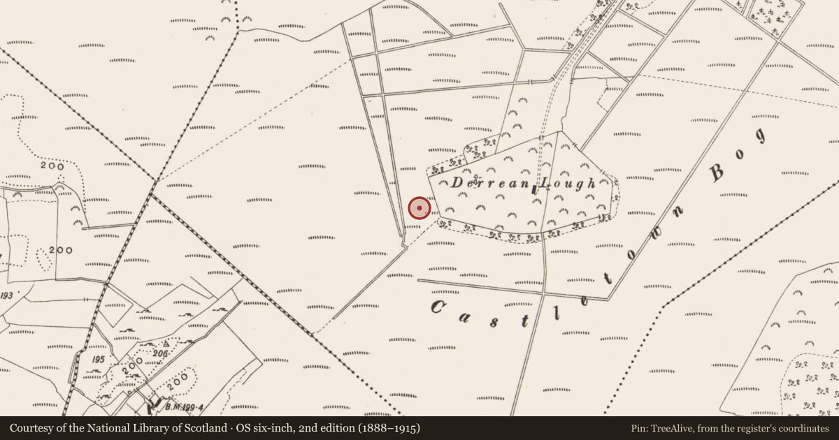 Ordnance Survey six-inch map, 2nd edition (1888–1915) covering the location of Structure - peatland, Castlearmstrong, County Offaly, with a pin at the register's coordinates
