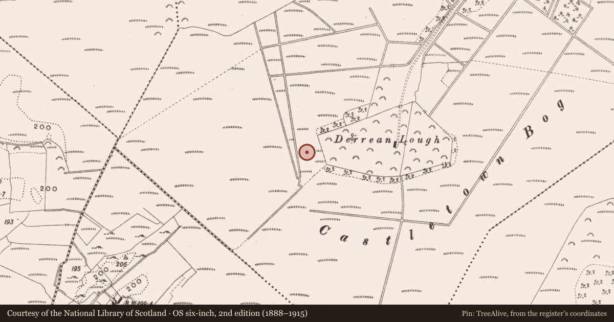 Ordnance Survey six-inch map, 2nd edition (1888–1915) covering the location of Road - class 3 togher, Castlearmstrong, County Offaly, with a pin at the register's coordinates