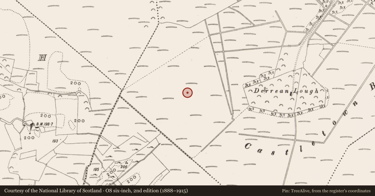 Ordnance Survey six-inch map, 2nd edition (1888–1915) covering the location of Structure - peatland, Castlearmstrong, County Offaly, with a pin at the register's coordinates