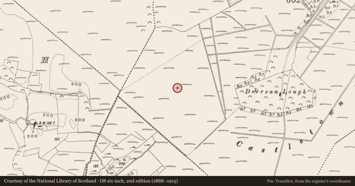 Ordnance Survey six-inch map, 2nd edition (1888–1915) covering the location of Structure - peatland, Castlearmstrong, County Offaly, with a pin at the register's coordinates