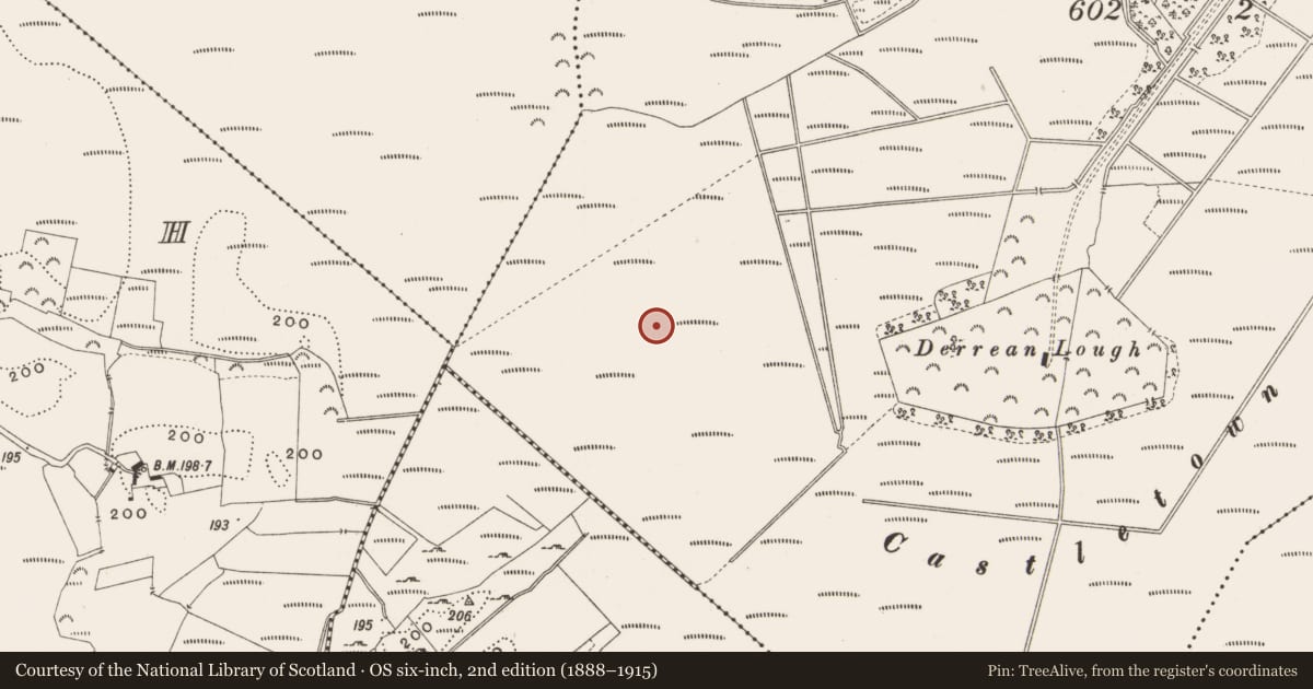Ordnance Survey six-inch map, 2nd edition (1888–1915) covering the location of Structure - peatland, Castlearmstrong, County Offaly, with a pin at the register's coordinates