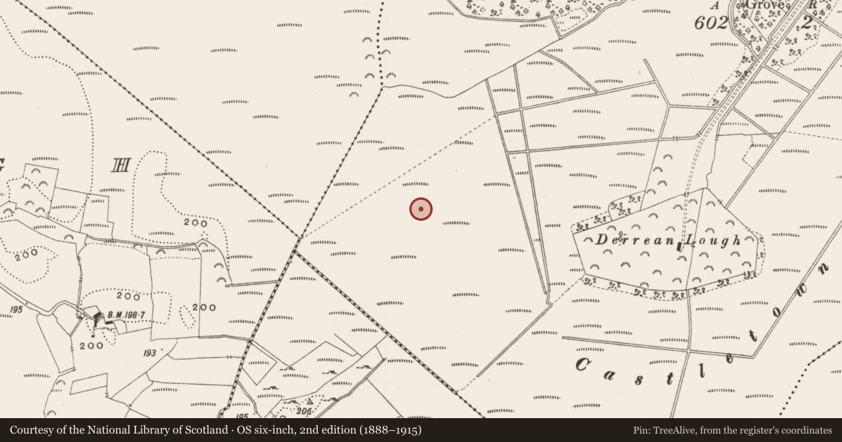 Ordnance Survey six-inch map, 2nd edition (1888–1915) covering the location of Structure - peatland, Castlearmstrong, County Offaly, with a pin at the register's coordinates