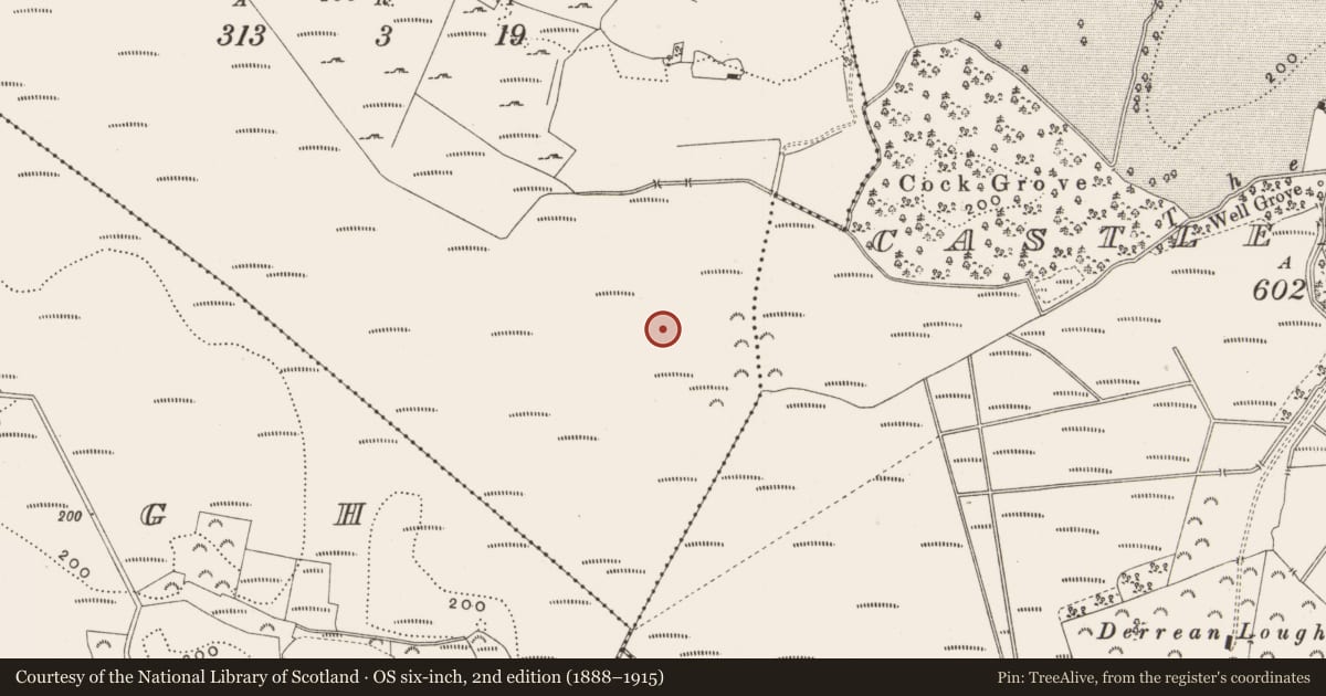 Ordnance Survey six-inch map, 2nd edition (1888–1915) covering the location of Road - class 2 togher, Killaghintober, County Offaly, with a pin at the register's coordinates