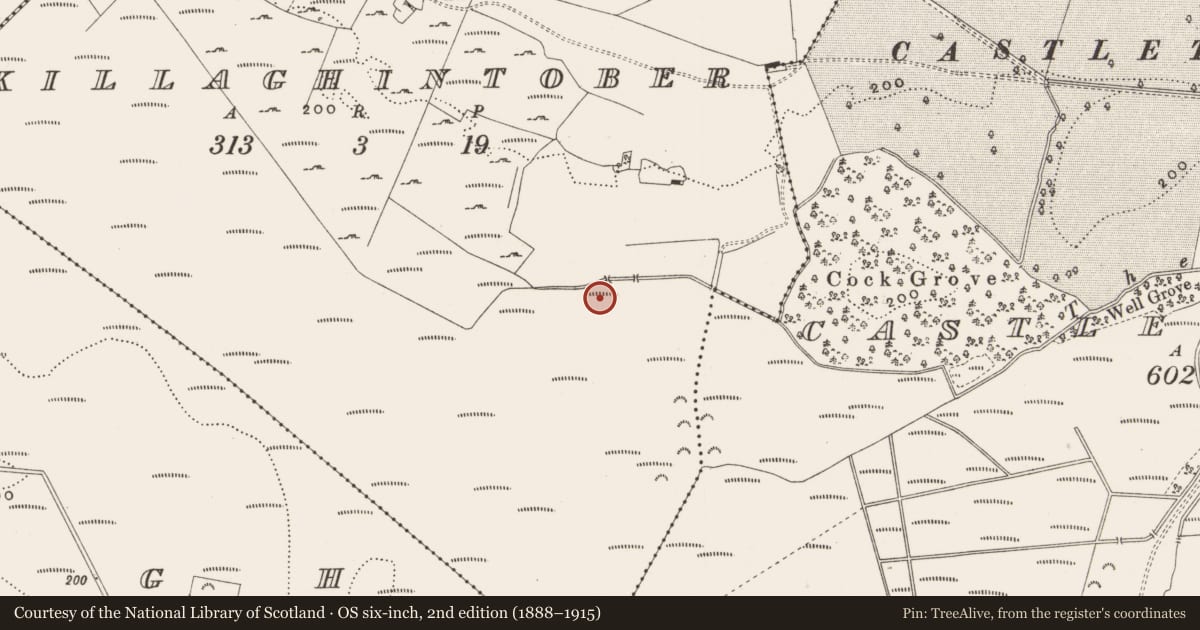Ordnance Survey six-inch map, 2nd edition (1888–1915) covering the location of Structure - peatland, Killaghintober, County Offaly, with a pin at the register's coordinates