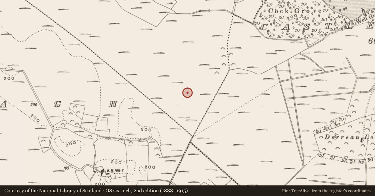 Ordnance Survey six-inch map, 2nd edition (1888–1915) covering the location of Structure - peatland, Killaghintober, County Offaly, with a pin at the register's coordinates