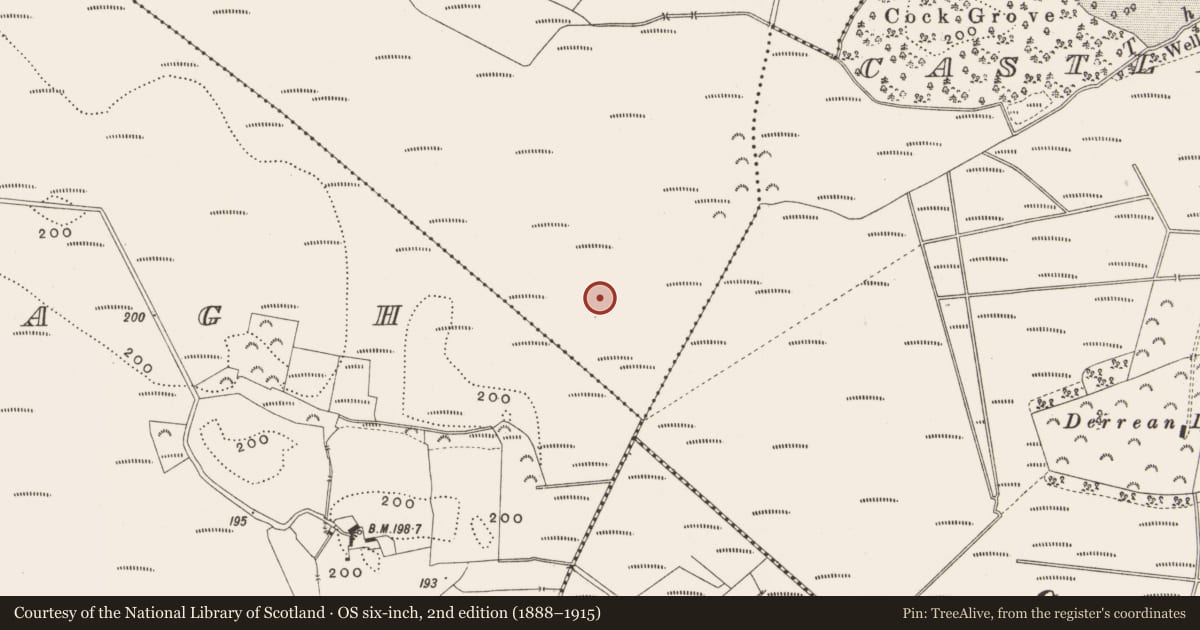 Ordnance Survey six-inch map, 2nd edition (1888–1915) covering the location of Structure - peatland, Killaghintober, County Offaly, with a pin at the register's coordinates