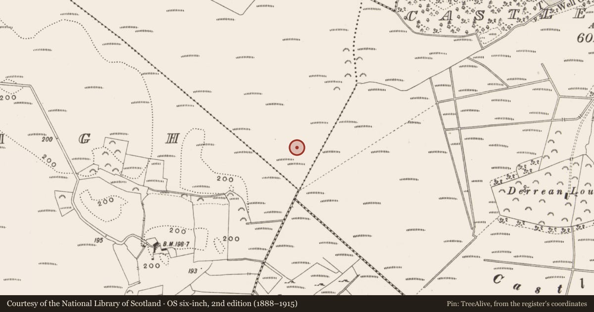 Ordnance Survey six-inch map, 2nd edition (1888–1915) covering the location of Road - class 2 togher, Killaghintober, County Offaly, with a pin at the register's coordinates