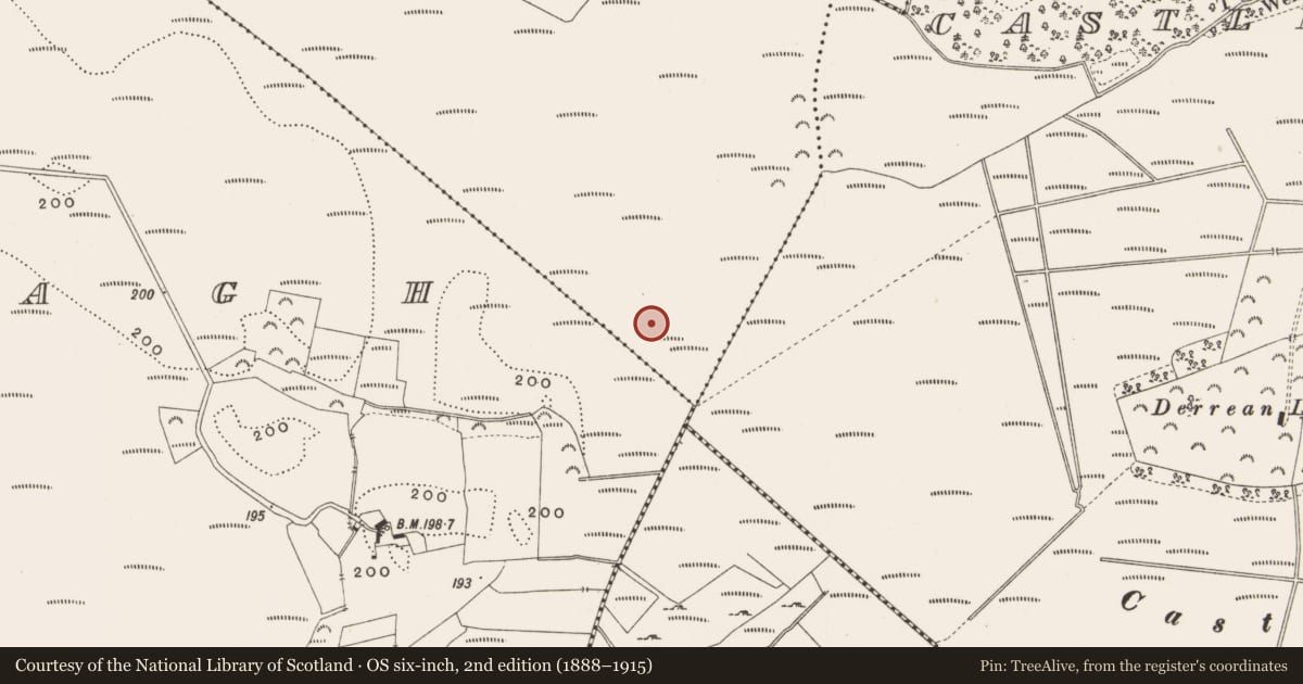 Ordnance Survey six-inch map, 2nd edition (1888–1915) covering the location of Structure - peatland, Killaghintober, County Offaly, with a pin at the register's coordinates