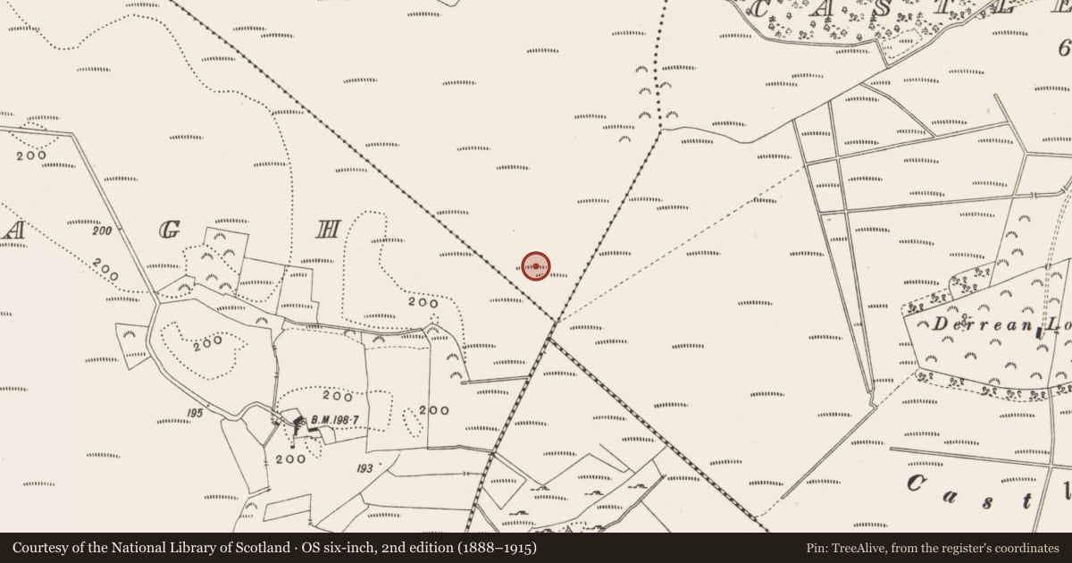 Ordnance Survey six-inch map, 2nd edition (1888–1915) covering the location of Structure - peatland, Killaghintober, County Offaly, with a pin at the register's coordinates