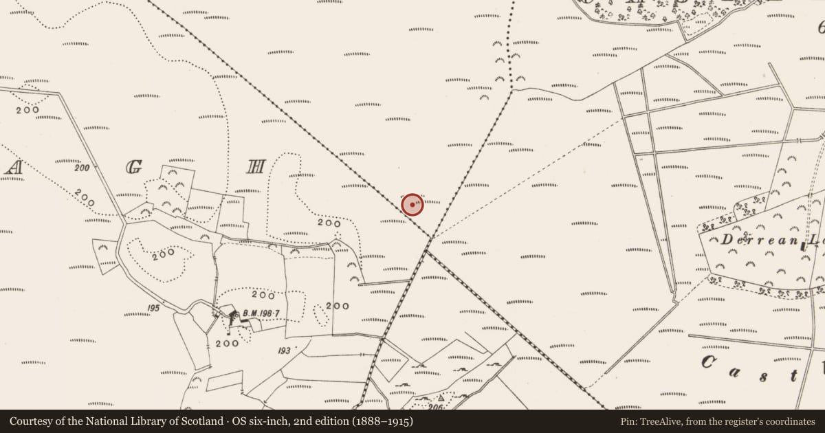 Ordnance Survey six-inch map, 2nd edition (1888–1915) covering the location of Structure - peatland, Killaghintober, County Offaly, with a pin at the register's coordinates