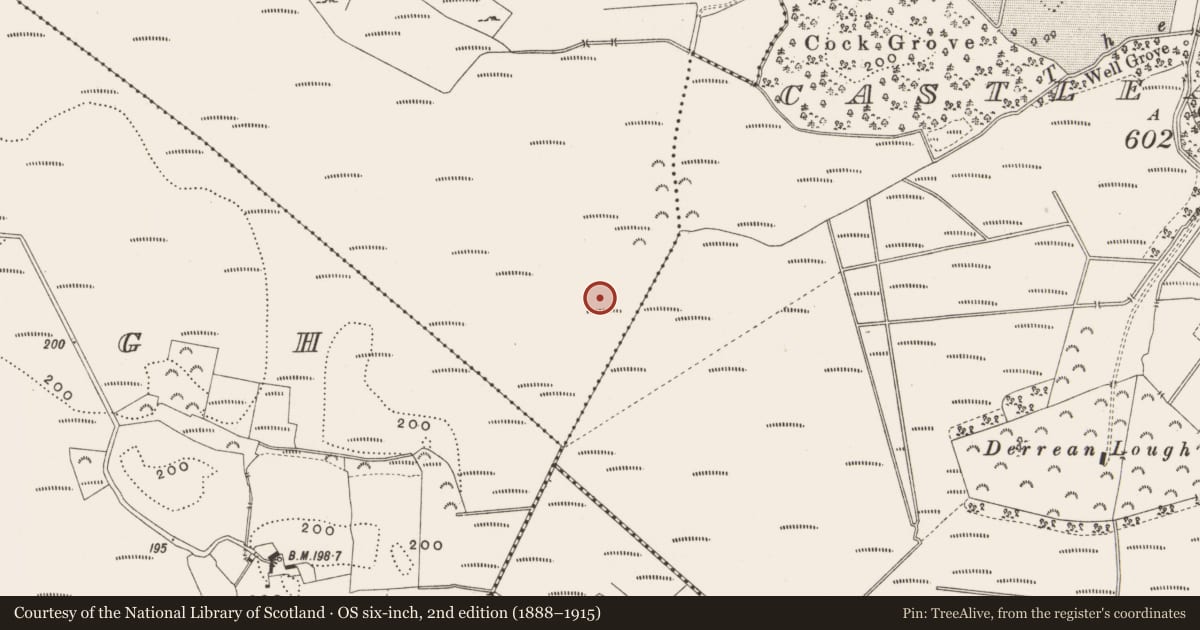 Ordnance Survey six-inch map, 2nd edition (1888–1915) covering the location of Road - class 2 togher, Killaghintober, County Offaly, with a pin at the register's coordinates