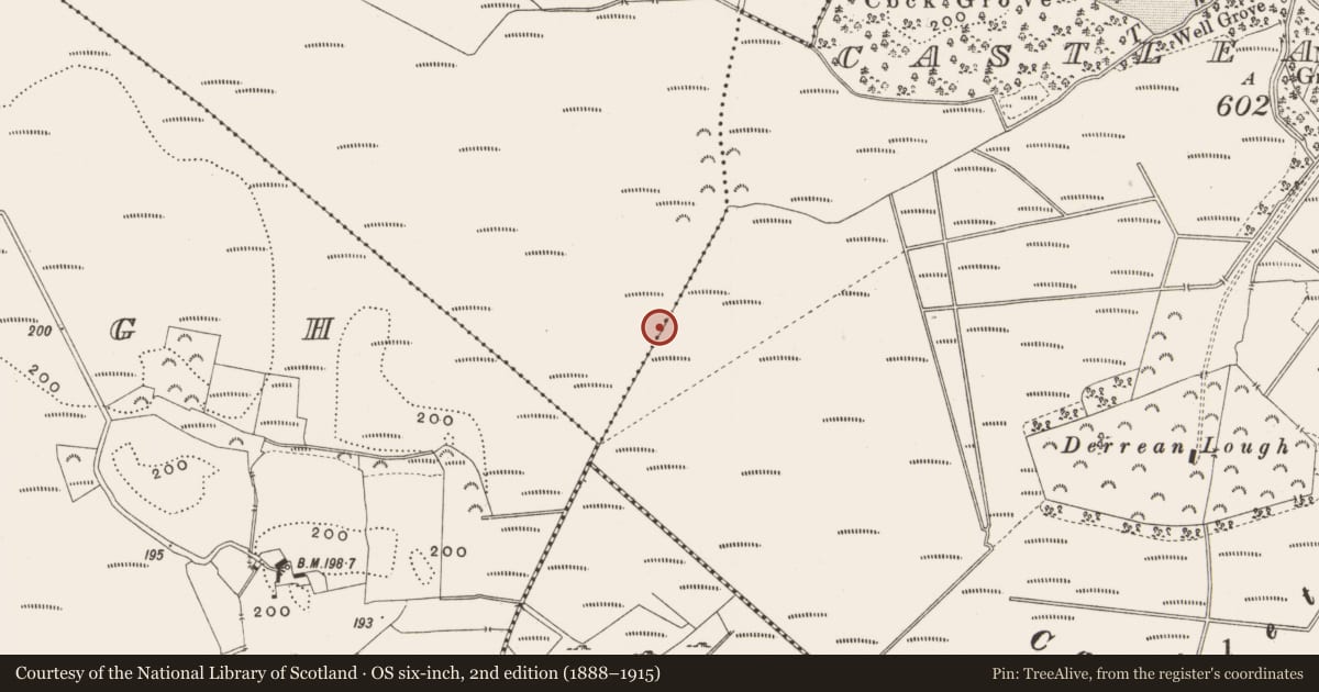 Ordnance Survey six-inch map, 2nd edition (1888–1915) covering the location of Structure - peatland, Killaghintober, County Offaly, with a pin at the register's coordinates