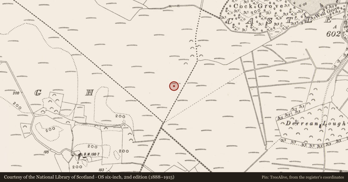 Ordnance Survey six-inch map, 2nd edition (1888–1915) covering the location of Road - class 3 togher, Killaghintober, County Offaly, with a pin at the register's coordinates