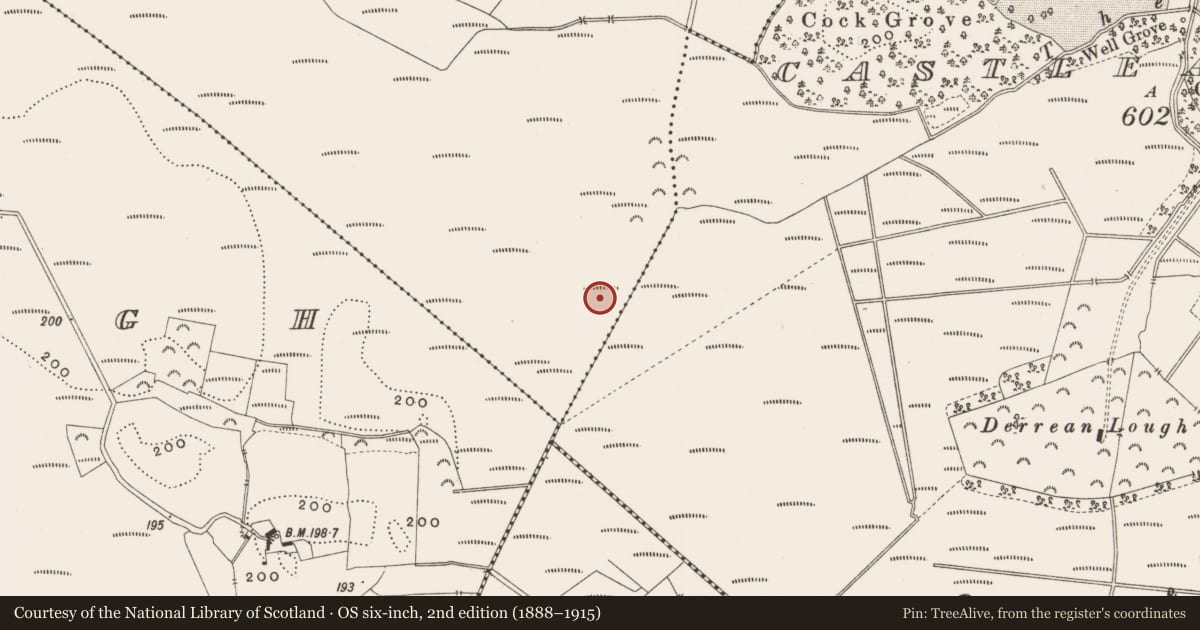 Ordnance Survey six-inch map, 2nd edition (1888–1915) covering the location of Road - class 3 togher, Killaghintober, County Offaly, with a pin at the register's coordinates
