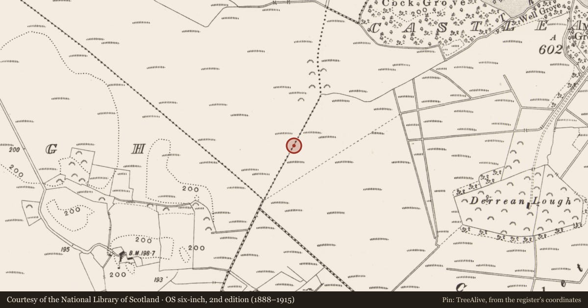 Ordnance Survey six-inch map, 2nd edition (1888–1915) covering the location of Road - class 2 togher, Killaghintober, County Offaly, with a pin at the register's coordinates